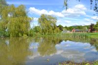 Looking from one of the fishing pools towards the holiday barns. 